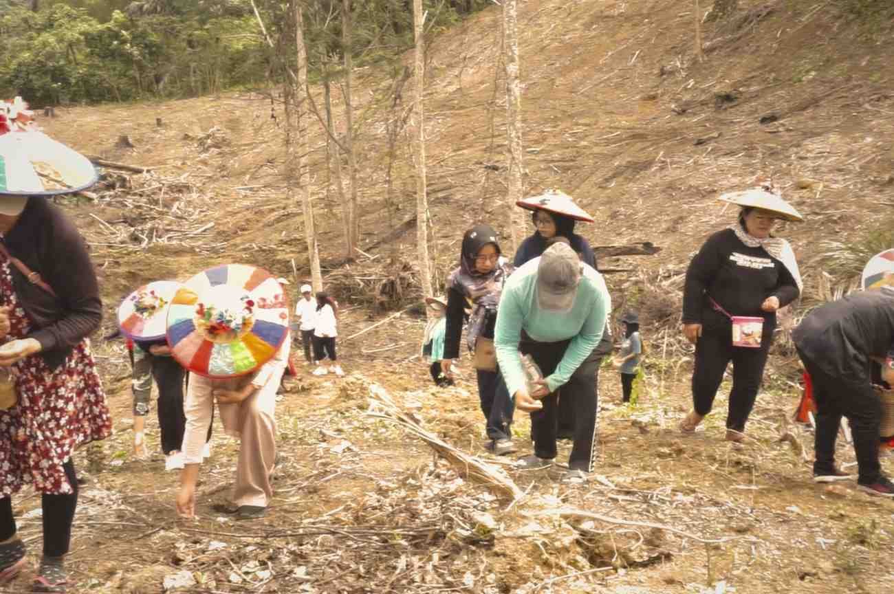Festival Nugal Padi 4